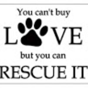 Meet your Posher, Rose